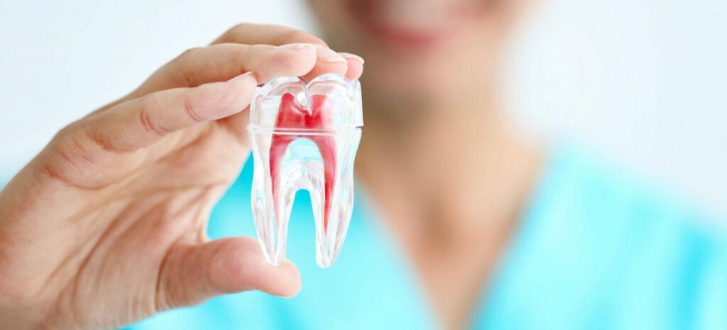 Siete consejos para mantener una buena Salud Bucodental